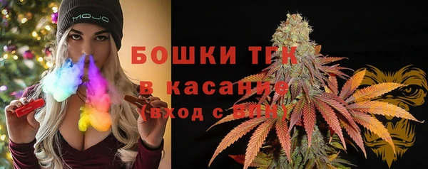 твердый Абаза
